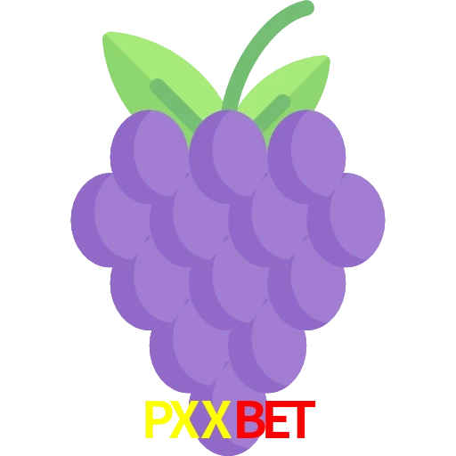 PXXbet